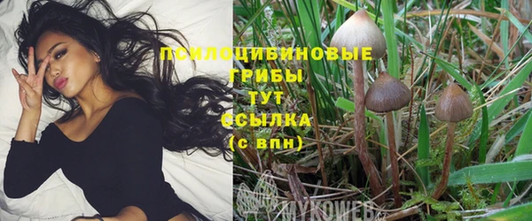 мдпв Белокуриха
